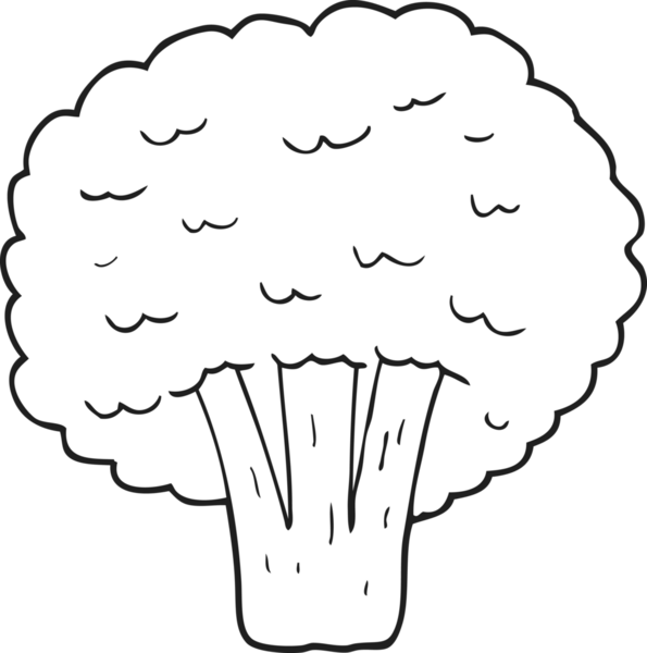 Bir insan tarafından çizilmiş siyah beyaz brokoli.