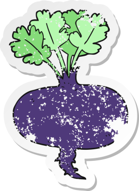 Bir insan tarafından çizilmiş pancar kökünün gerilmiş yapıştırması.