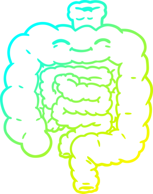 Bir insanın çizdiği karikatür bağırsağının soğuk gradyan çizimi.