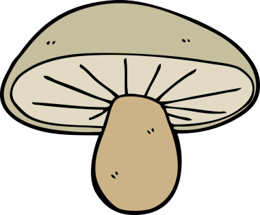 bir insan tarafından çizilmiş mantar mantarı