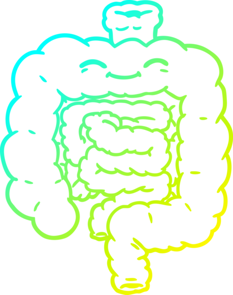 Bir insanın çizdiği karikatür bağırsağının soğuk gradyan çizimi.