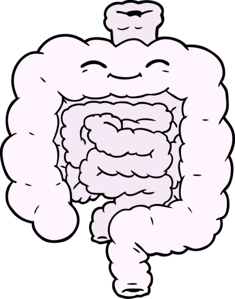 Bir insan tarafından çizilmiş karikatür bağırsakları.
