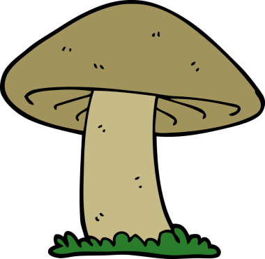 bir insan tarafından çizilmiş mantar mantarı