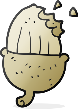 Bir insan tarafından çizilmiş meşe palamudu.