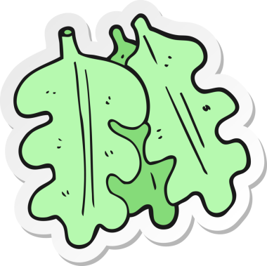 sticker of a cartoon oak leaves drawn by a human