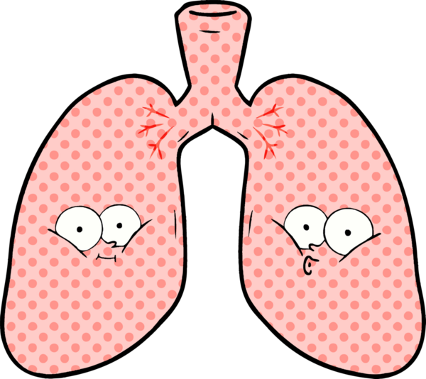 Bir insan tarafından çizilmiş karikatür ciğerleri.