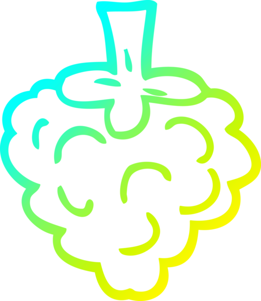 Bir insanın çizdiği ahududu çizgi filminin soğuk gradyan çizimi.