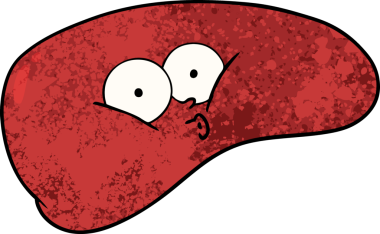 Bir insan tarafından çizilmiş karaciğer.