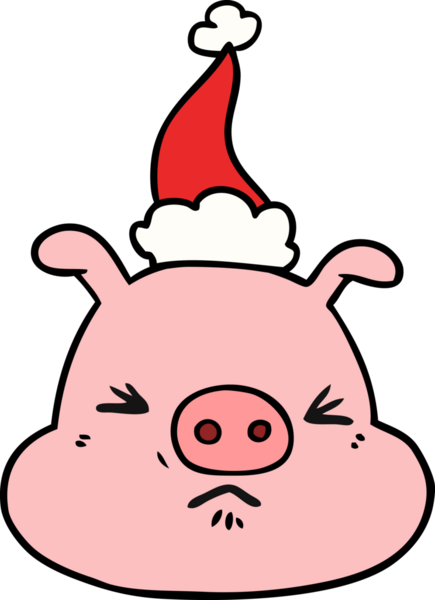 Bir insan tarafından çizilmiş Noel Baba şapkası takan kızgın bir domuz suratı çizildi.