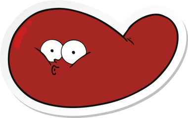 Bir insan tarafından çizilmiş safra kesesi karikatürü.