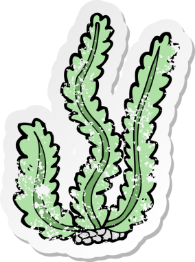 Bir insan tarafından çizilmiş karikatür deniz yosunu etiketi.