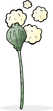 Bir insan tarafından çizilmiş kurutulmuş haşhaş.