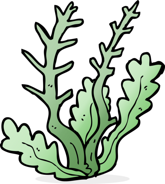 cartoon seaweed drawn by a human