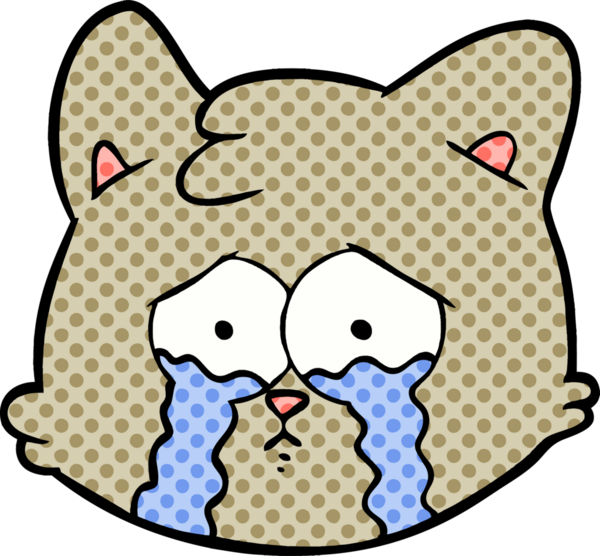 Bir insan tarafından çizilmiş karikatür kedi yüzü.