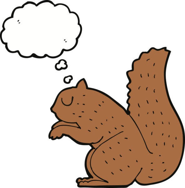 Bir insan tarafından çizilmiş düşünce baloncuklu bir sincap.