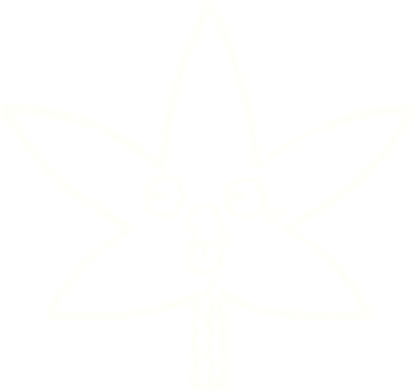 Bir insan tarafından çizilmiş Kenevir Yaprağı Tebeşiri