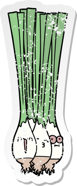 Bir insan tarafından çizilmiş taze soğan etiketi.