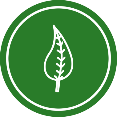 Bir insan tarafından çizilmiş doğal yaprak dairesel simgesi