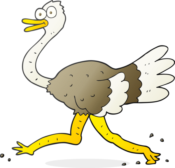 Bir insan tarafından çizilmiş devekuşu çizimi.