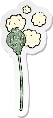 Bir insan tarafından çizilmiş kurutulmuş haşhaş desenli karikatür çıkartması.