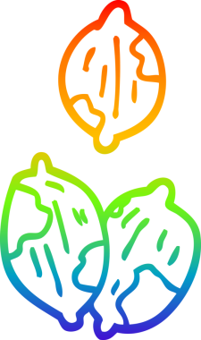 gökkuşağı gradyan çizgi çizimi bir insan tarafından çizilmiş kabuklu fındık