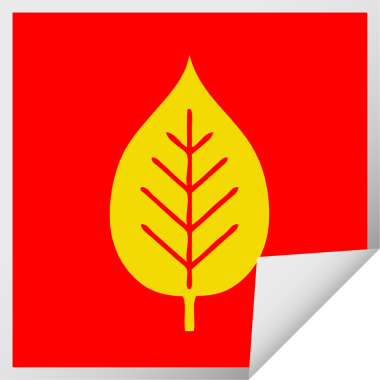 Bir insan tarafından çizilmiş yeşil bir yaprağın kare kabuğu çıkartması.