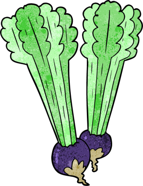 bir insan tarafından çizilmiş pancar kökleri.