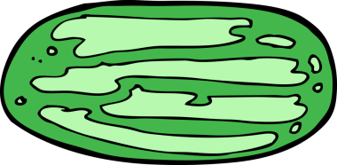 bir insan tarafından çizilmiş karpuz karpuzu