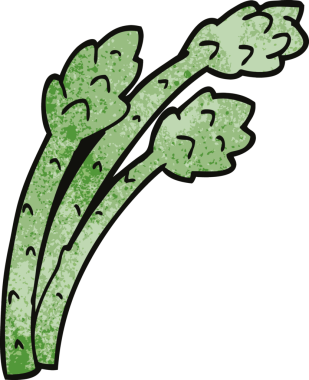 bir insan tarafından çizilmiş karalama kuşkonmaz bitkisi