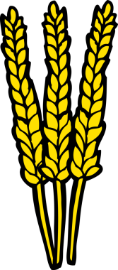 bir insan tarafından çizilmiş mısırlar