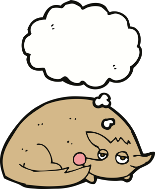 Bir insan tarafından çizilmiş düşünce balonuyla kıvrılmış bir köpek.