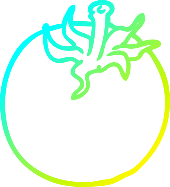 Bir insan tarafından çizilmiş taze bir domatesin soğuk gradyan çizgisi