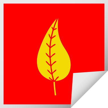 Bir insan tarafından çizilmiş yeşil bir yaprağın kare kabuğu çıkartması.