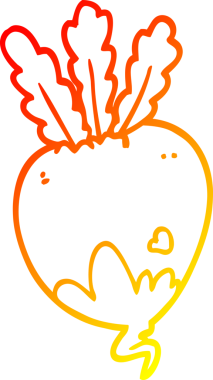 Bir insan tarafından çizilmiş pancar kökünün sıcak çizgi çizimi