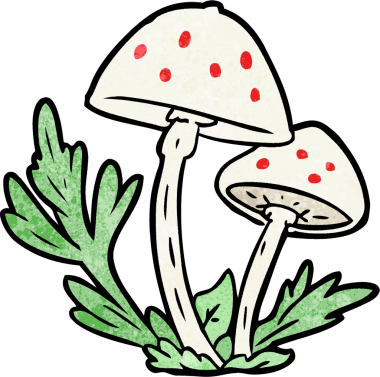 Bir insan tarafından çizilmiş vahşi mantarlar.