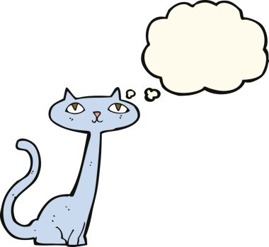 Bir insan tarafından çizilmiş düşünce kabarcığı olan çizgi film kedisi.
