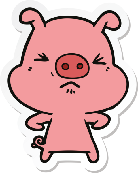 Bir insan tarafından çizilmiş kızgın bir domuzun çıkartması.