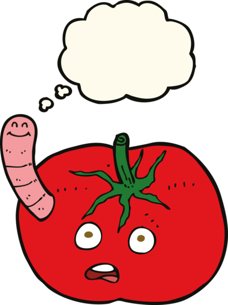 insan tarafından çizilmiş düşünce baloncuklu solucanlı domates.