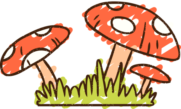 Bir insan tarafından çizilen mantar tebeşiri.