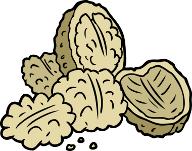 Bir insan tarafından çizilmiş cevizler.