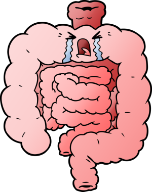 Bir insan tarafından çizilmiş bağırsaklar.