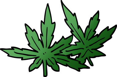 Bir insan tarafından çizilmiş marihuana yaprakları.