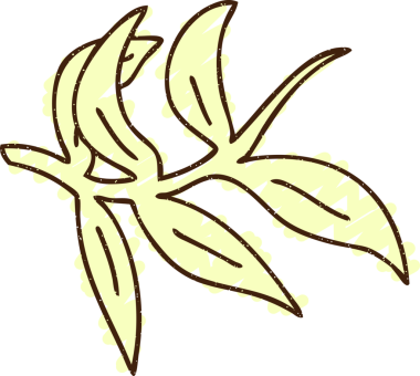 Bir insan tarafından çizilen tebeşir yaprakları