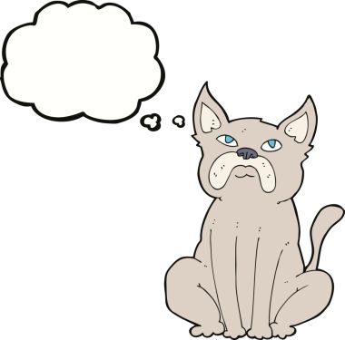 Bir insan tarafından çizilmiş düşünce baloncuğu olan huysuz küçük bir köpek.