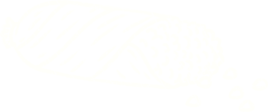 Bir insan tarafından çizilen mısır tebeşiri