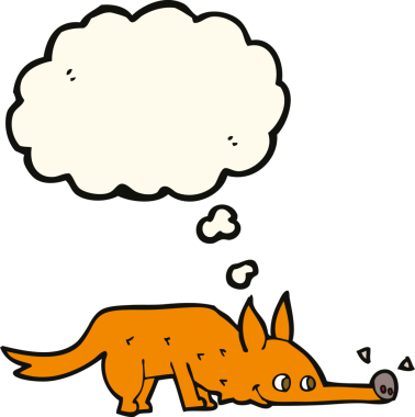 Bir insan tarafından çizilmiş düşünce baloncuğuyla tilki koklama zemini.