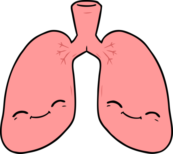 Bir insan tarafından çizilmiş karikatür ciğerleri.