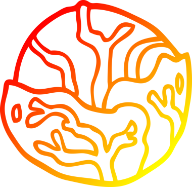 Bir insan tarafından çizilmiş bir lahananın sıcak çizgi çizimi