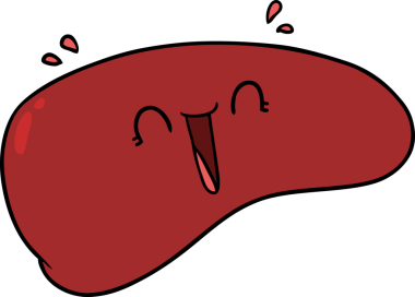 bir insan tarafından çizilmiş sağlıklı karaciğer.