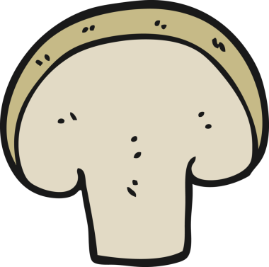 Bir insan tarafından çizilmiş mantar dilimi.